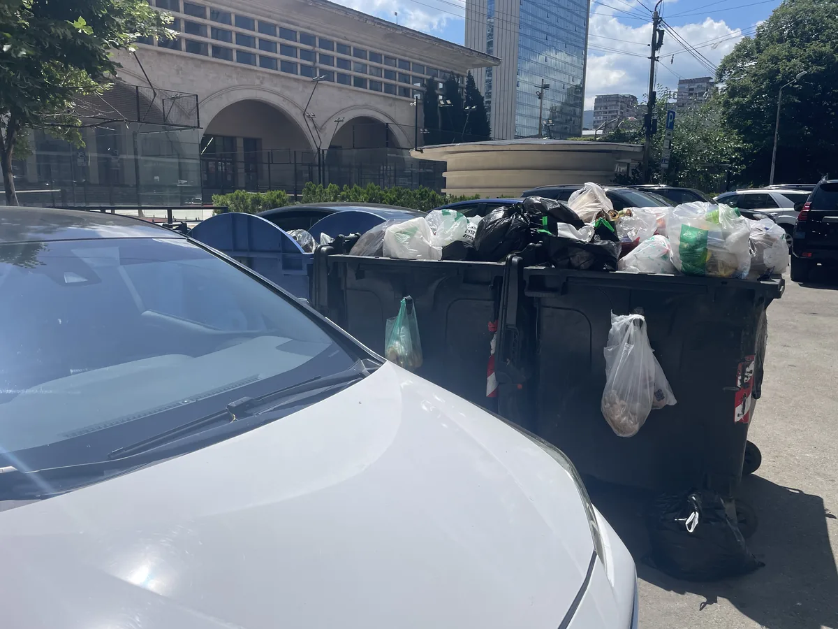 Public waste containers near Orange Cat